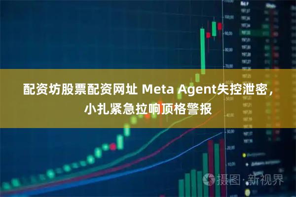 配资坊股票配资网址 Meta Agent失控泄密，小扎紧急拉响顶格警报